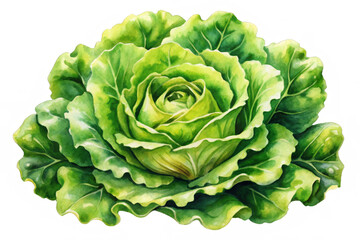 Obraz premium A vibrant watercolor illustration of a fresh green lettuce, symbolizing health, vitality, growth, and the beauty of nature. The image evokes a sense of freshness and natural goodness.