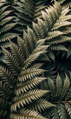 Abstract nature background.