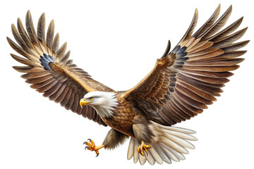 Obraz premium A powerful bald eagle with its wings spread wide, soaring through the sky. This image symbolizes freedom, strength, and the beauty of nature.