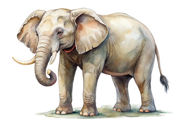 Fototapeta premium A charming watercolor illustration of an elephant, capturing the gentle giant's majestic presence and symbolizing wisdom, strength, family, and the beauty of nature.