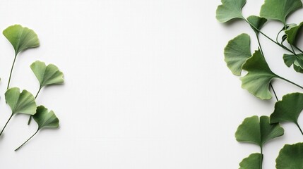 Naklejka premium Green ginkgo leaves arranged on a white background, creating a minimalistic and natural setting with ample space for text placement.