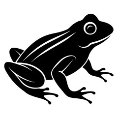 frog on white