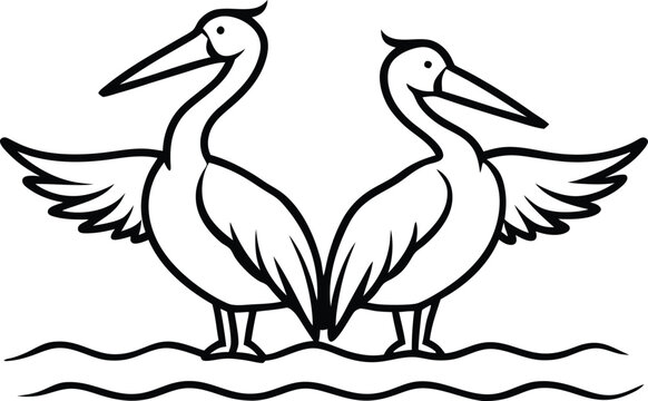 recommend clip art: Adorable pair of pelicans in simple line art for kids to color and enjoy
                    