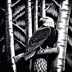 A bald eagle standing in a tree