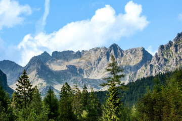 Fototapeta premium Three colour of nature shape the beautiful blue sky with some grey and brown mountains in the High Tatras, Slovakia and the resistless green pine forest