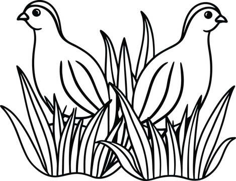 recommend clip art: Delightful quail line art graphic ideal for children's coloring books with a whimsical touch
                    