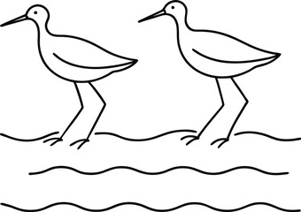 Delightful pair of sandpipers in line art ideal for children's coloring books showcasing cute birds in a simple graphic style

