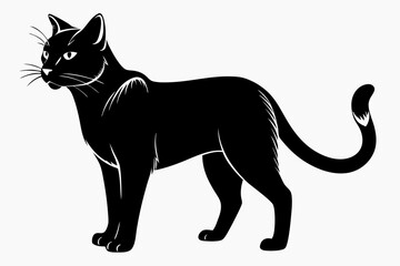 Cute Cat Silhouette Vector Illlustration