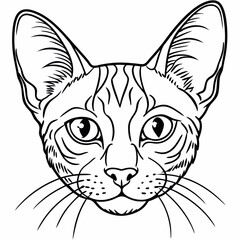 portrait-of-a-cat-head-sfenks