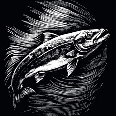Salmon engraved vector