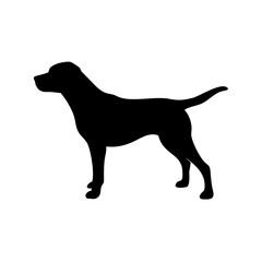 Dog Breeds, Dog Vector Graphic, Dog SVG - digital download svg,