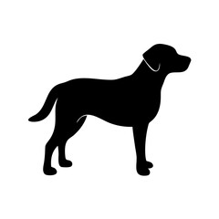 Dog Breeds, Dog Vector Graphic, Dog SVG - digital download svg,
