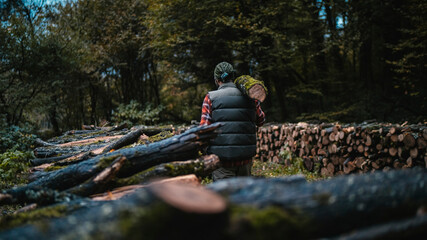 A camper collects wood for a fire in an abandoned forest. The camping man carries the wood on his back.