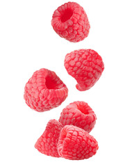 Slices of Raspberry Falling Isolated on White