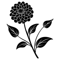 black and white flowers