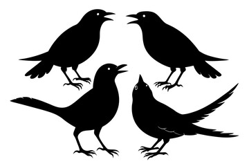 A set of beautiful birds thrush silhouette black vector art illustration