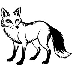 Cautious Black Fox Vector Art