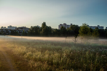 A soft summer morning mist drapes the fields near the city at the end of August, weaving through...
