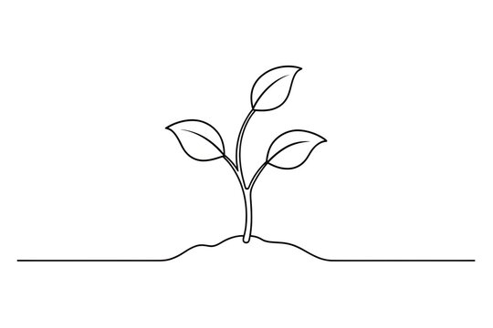 black line art sprout growing clip art preview