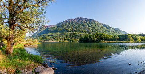 Carlazzo, Italia, Lombardia: sentieri lungo le rive del Lago Piano. Piccola riserva naturale...