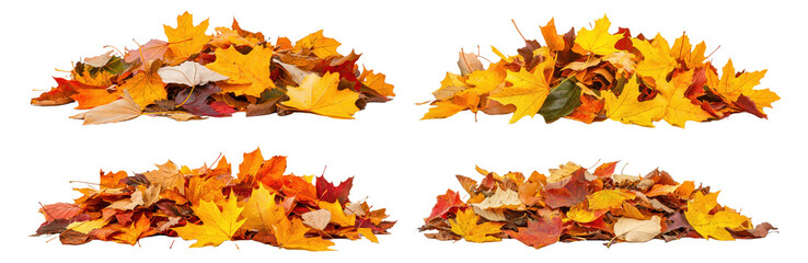Fototapeta premium Four Piles of autumn colored leaves isolated on transparent background PNG