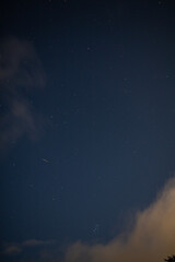 Starry Night Sky with Tree Silhouette and Soft Clouds
