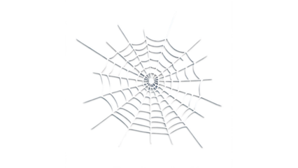 spider web isolated on transparent background