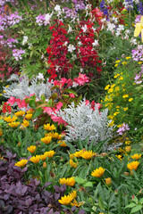 Beete mit kunterbunten Sommerblumen - garden beds with summer flowers in vivid colours