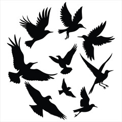 Silhouettes Vector of birds in flight