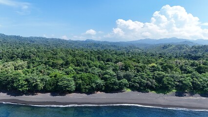 Obraz premium Black sand volcanic beach with the jungle in Tangkoko National Park. Background Volcano. Palmtrees on a Sunny day. North Sulawesi. Indonesia.