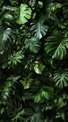 A wall of lush, verdant plants, including ferns and Monstera leaves, captured from above in high resolution