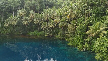 Beautiful tropical lake with crystal clear water and palm trees, Danau Paisu Pok in Luk Panenteng, Indonesia; Danau Paisu Pok Luk Panenteng, Banggai, Sulawesi Tengah, Indonesia