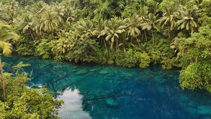 Beautiful tropical lake with crystal clear water and palm trees, Danau Paisu Pok in Luk Panenteng, Indonesia; Danau Paisu Pok Luk Panenteng, Banggai, Sulawesi Tengah, Indonesia