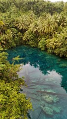 Beautiful tropical lake with crystal clear water and palm trees, Danau Paisu Pok in Luk Panenteng, Indonesia; Danau Paisu Pok Luk Panenteng, Banggai, Sulawesi Tengah, Indonesia