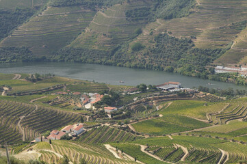Douro Valley