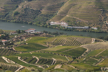 Douro Valley