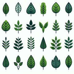 set of leaves