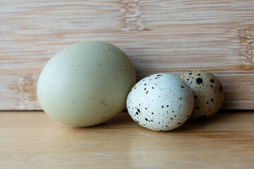 Three different sized blue chicken and quail eggs on wooden surface. Close-up of three eggs of varying sizes and colors, including quail eggs, arranged on a wooden surface with a rustic background