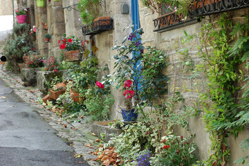 Village fleuri et ses ruelles 1