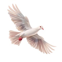 Fototapeta premium Dove Void/Space element animal cartoon isolated whitebackground 16:9