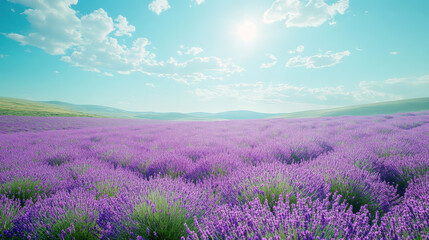 Fototapeta premium lavender field stretches across the bottom, with a wide open sky above and ample space for text
