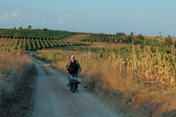 Elderly Farmer with Wheelbarrow Walking Through Lush Meadow