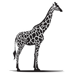 Vector flat hand-drawn giraffe isolated on white background Black and White Giraffe Head Silhouette