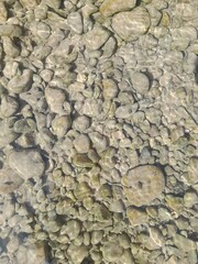stone wall background