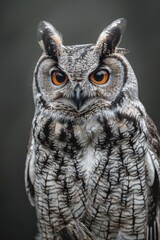 Fototapeta premium Magnificent owl depicted against a striking backdrop, showcasing regal features detailed feathers