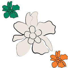 geometric flowers line drawing pattern background texture and art print design