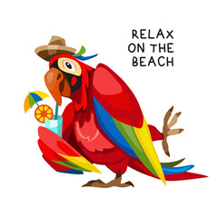 Cartoon Colorful Parrot vector isolated