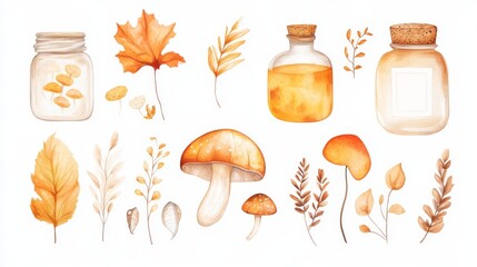 October set. Fall season collection. White background. Watercolor illustrations