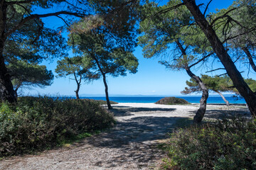 Kassandra coastline near Lagoon Beach, Chalkidiki, Greece