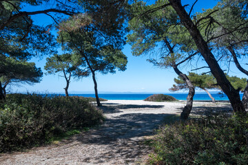 Kassandra coastline near Lagoon Beach, Chalkidiki, Greece
